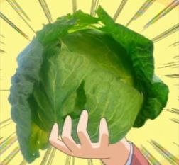 cabbage2