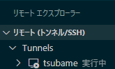 VSCodeのリモート エクスプローラー