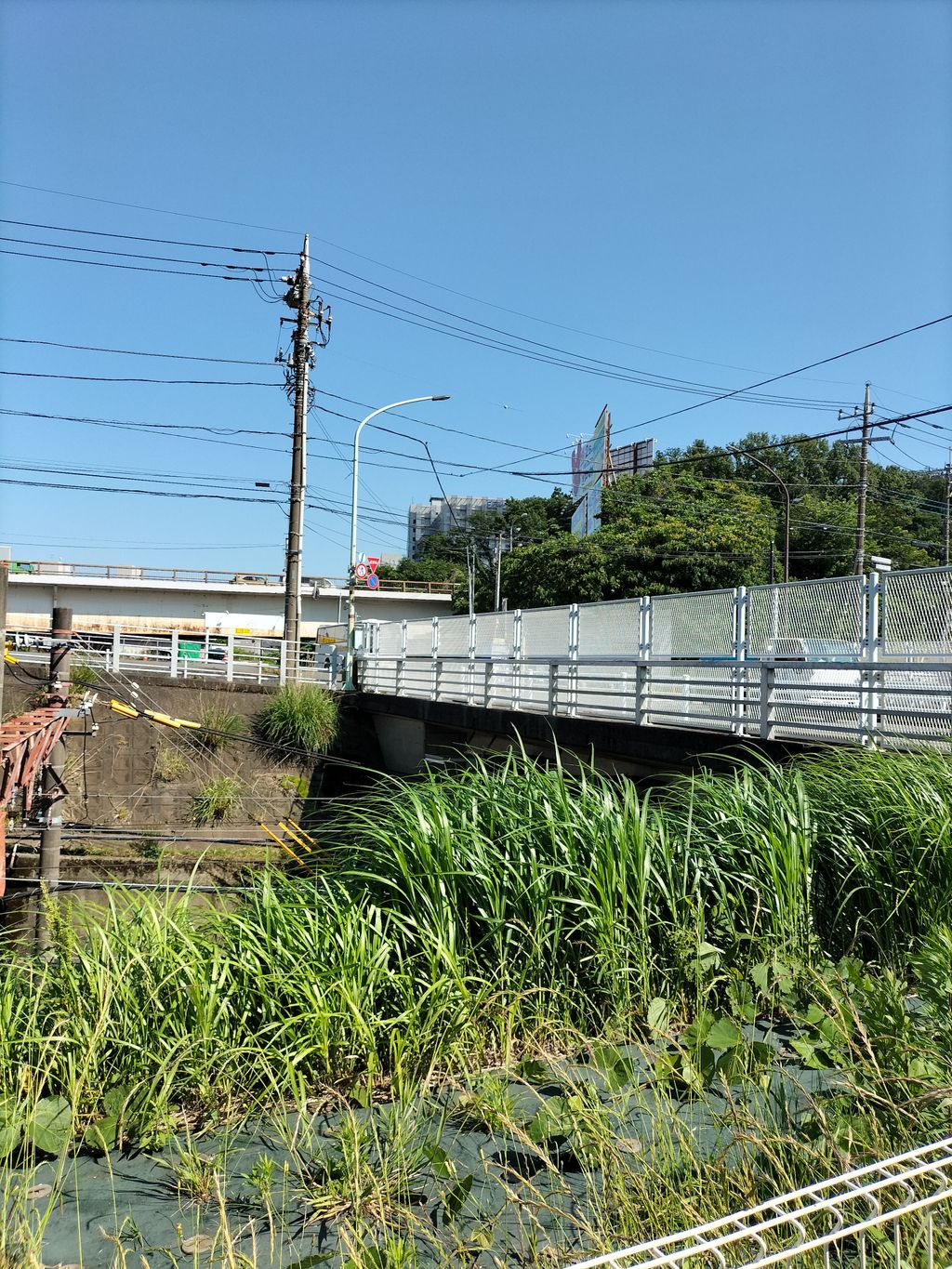 東急線全線制覇してみた