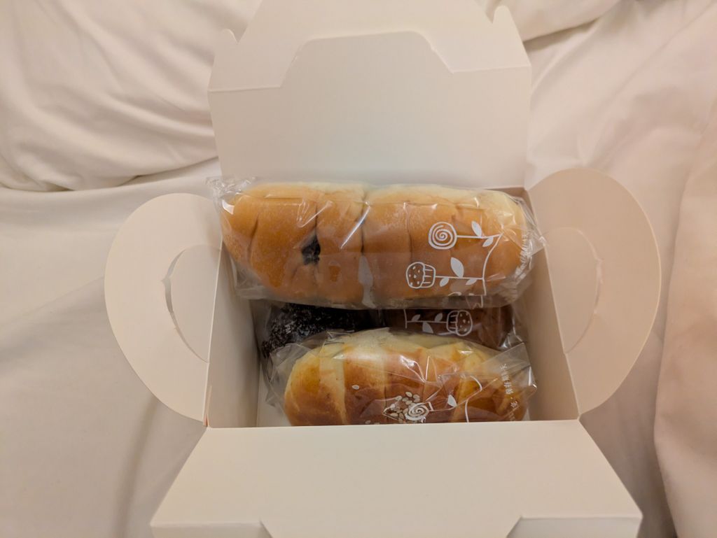 pxl_20251115_221120293.mp