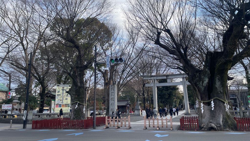 大きな樹木と鳥居が特徴の大國魂神社